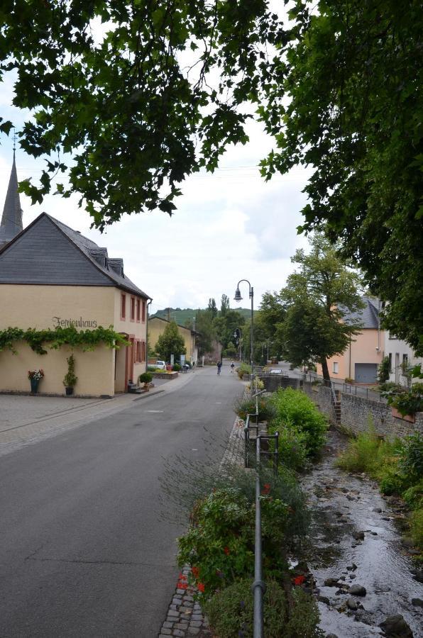 Altes Winzerhaus - Ferienhaus Burgen  Exteriér fotografie